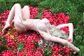 Foto Angelica Faliero Italiana Annunci Escort Londra - 382