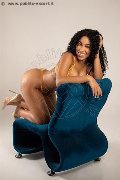 Foto Perla Annunci Escort Treviso - 8